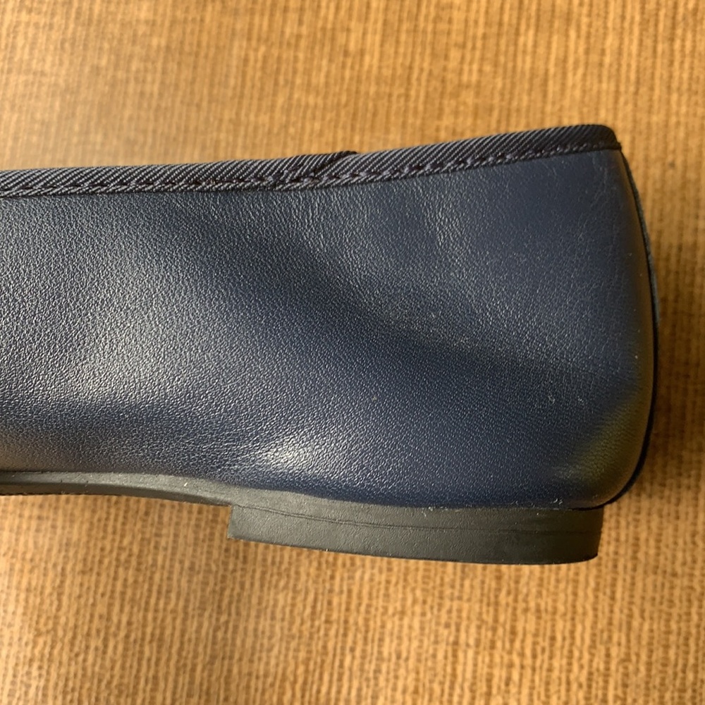 BLUE FLATS - Picture 3 of 3